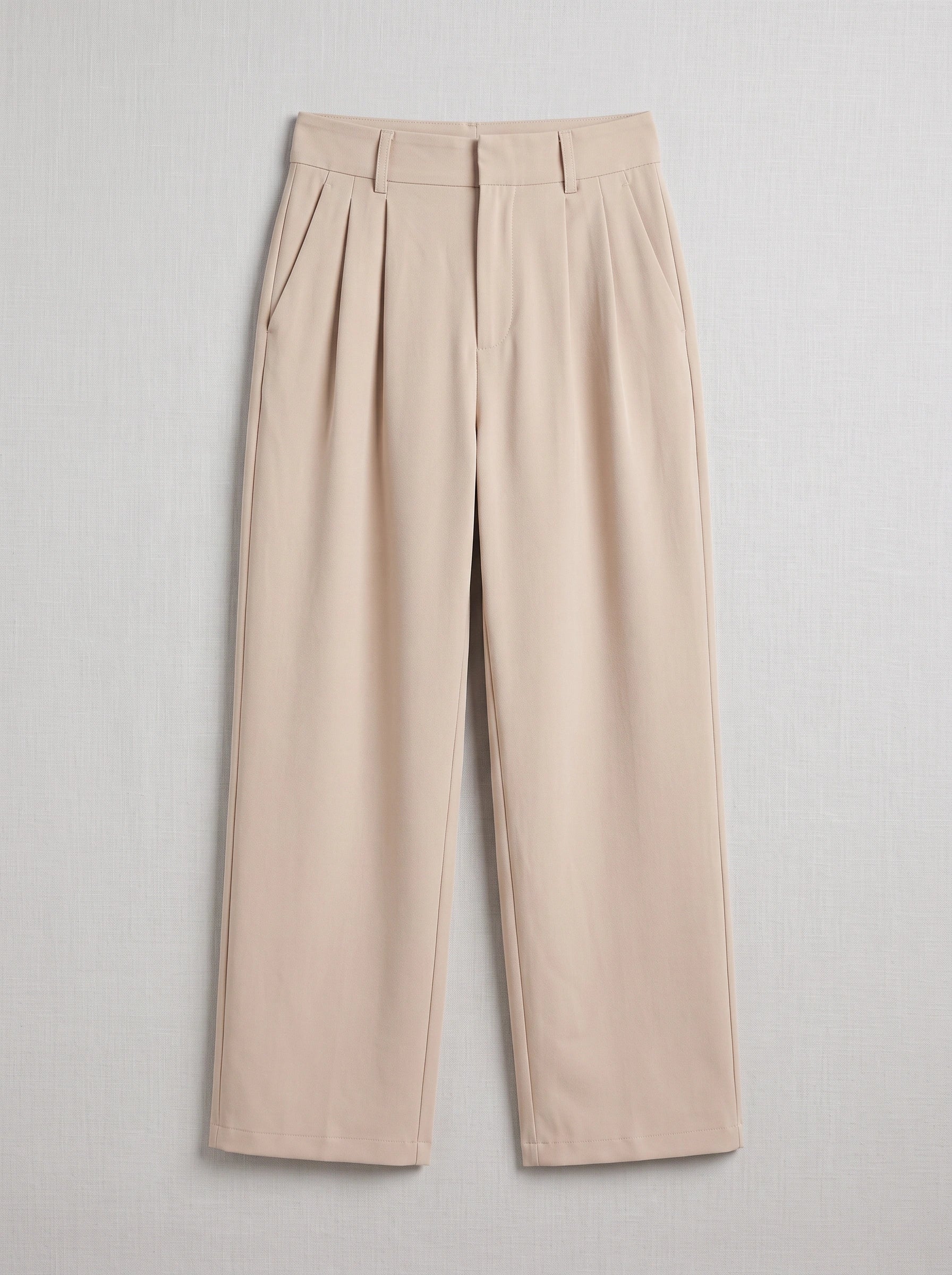 Pliesse High-Waist Wide-Leg Pants – Women Tailored Pleated Trousers Office Smart Casual Winter Pants